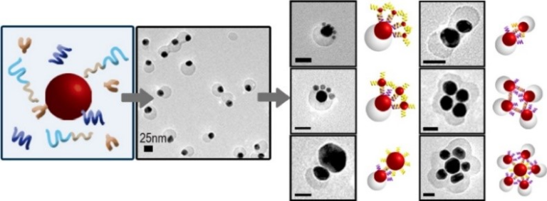 Functional DNA Nanotechnology – The Lu Research Group